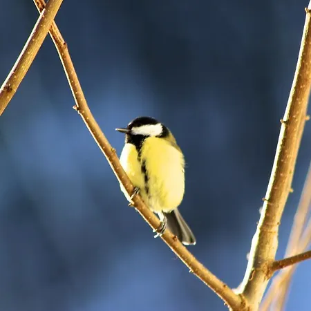Zur Post Отель Zwiefalten